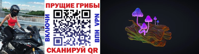 Псилоцибиновые грибы Magic Shrooms  Ильский 